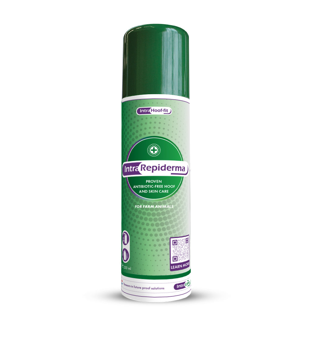 Intra Repiderma Aerosol