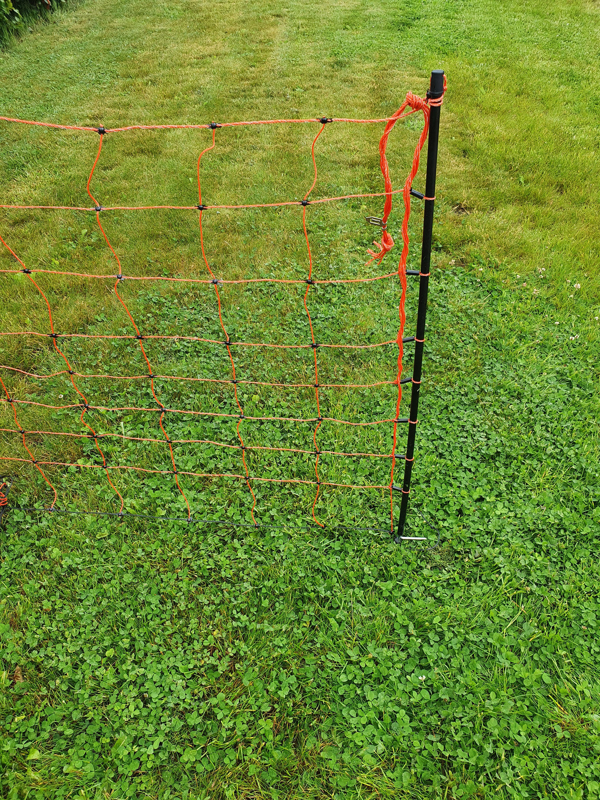 Forcefield Electric Sheep Netting 50m